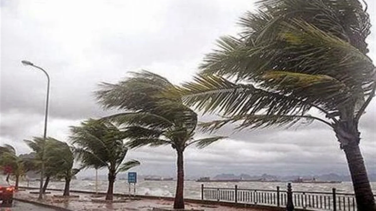 رياح وشبورة مائية.. تفاصيل حالة الطقس المتوقعة لمدة 5 أيام بمحافظات مصر